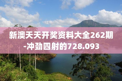 新澳天天开奖资料大全262期-冲劲四射的728.093