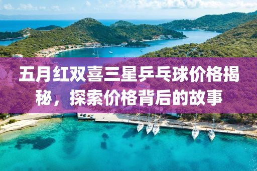 五月红双喜三星乒乓球价格揭秘，探索价格背后的故事