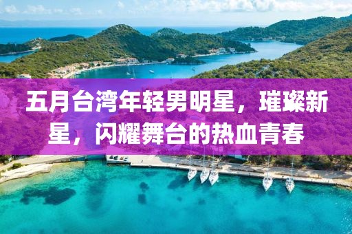 五月台湾年轻男明星，璀璨新星，闪耀舞台的热血青春