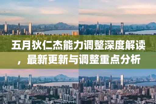 五月狄仁杰能力调整深度解读，最新更新与调整重点分析