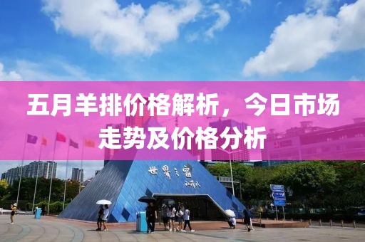 五月羊排价格解析，今日市场走势及价格分析