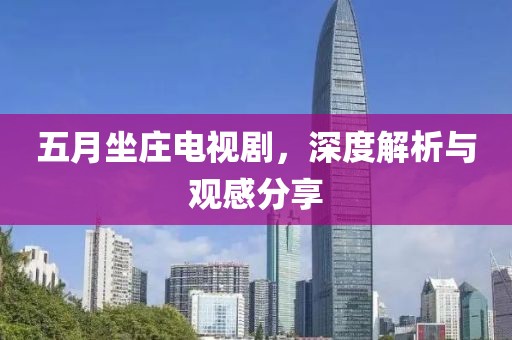 五月坐庄电视剧，深度解析与观感分享