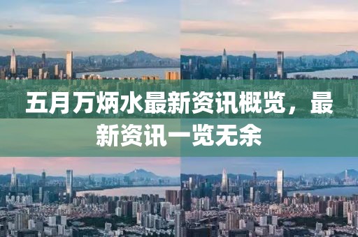 五月万炳水最新资讯概览，最新资讯一览无余