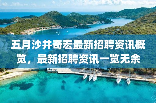 五月沙井奇宏最新招聘资讯概览，最新招聘资讯一览无余
