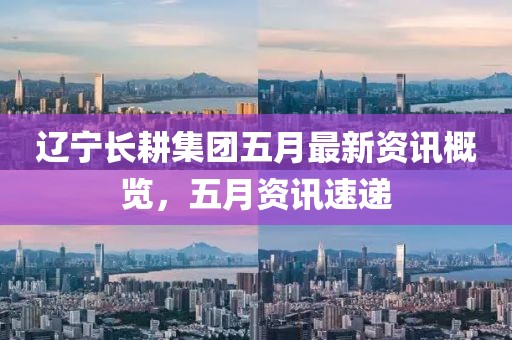 辽宁长耕集团五月最新资讯概览，五月资讯速递