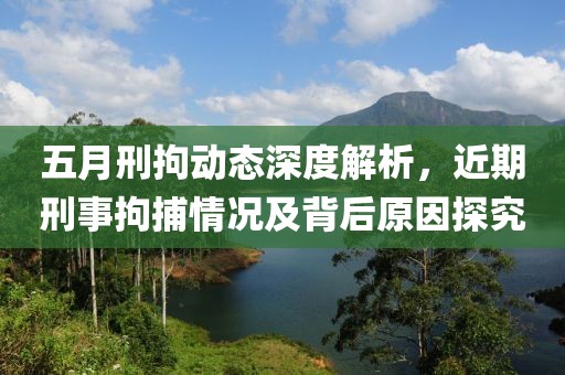 五月刑拘动态深度解析，近期刑事拘捕情况及背后原因探究