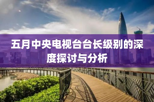 五月中央电视台台长级别的深度探讨与分析
