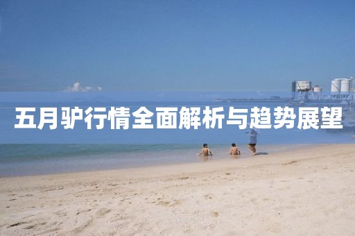 五月驴行情全面解析与趋势展望