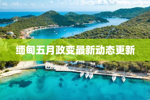 缅甸五月政变最新动态更新