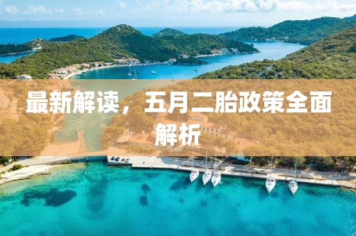 最新解读，五月二胎政策全面解析