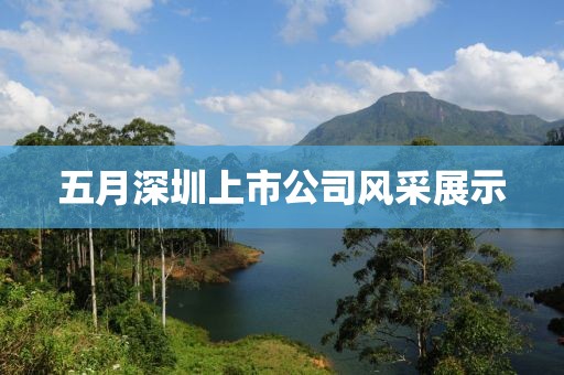 五月深圳上市公司风采展示