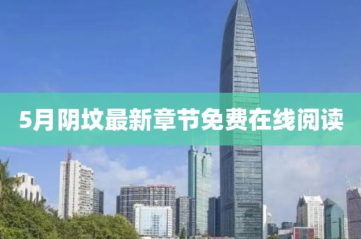5月阴坟最新章节免费在线阅读