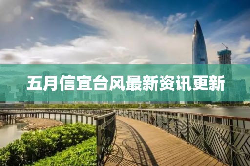 五月信宜台风最新资讯更新