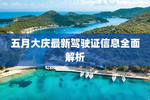 五月大庆最新驾驶证信息全面解析