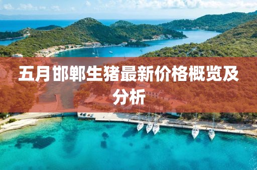 五月邯郸生猪最新价格概览及分析
