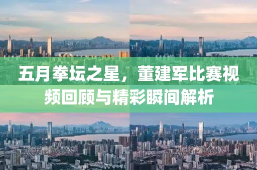 五月拳坛之星，董建军比赛视频回顾与精彩瞬间解析