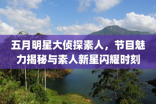 五月明星大侦探素人，节目魅力揭秘与素人新星闪耀时刻