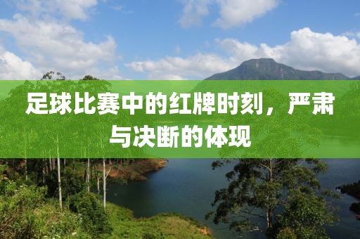 足球比赛中的红牌时刻，严肃与决断的体现