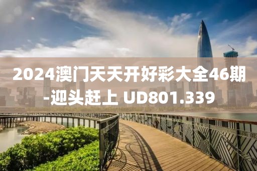 2024澳门天天开好彩大全46期-迎头赶上 UD801.339