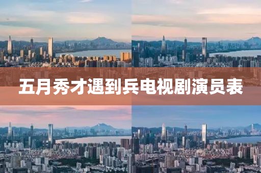 五月秀才遇到兵电视剧演员表