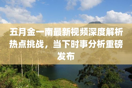 五月金一南最新视频深度解析热点挑战，当下时事分析重磅发布