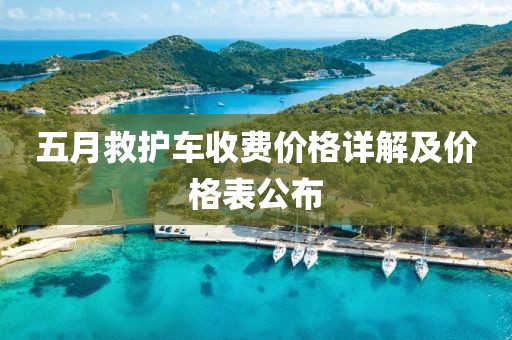 五月救护车收费价格详解及价格表公布