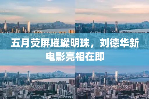 2025年5月17日 第7页