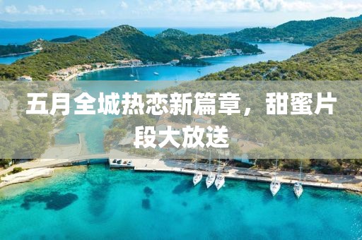 2025年5月17日 第4页