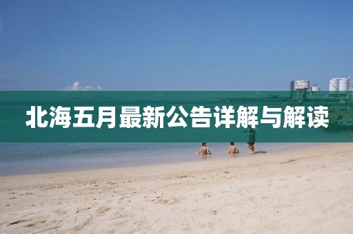 北海五月最新公告详解与解读