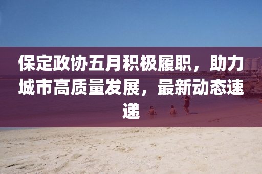 保定政协五月积极履职，助力城市高质量发展，最新动态速递