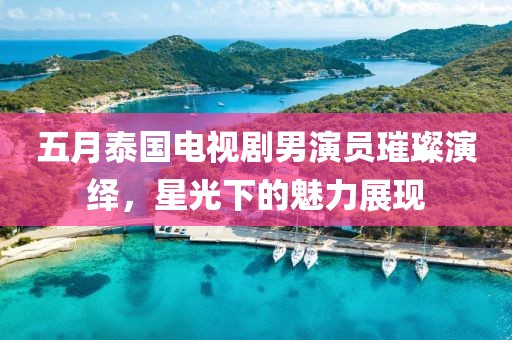 五月泰国电视剧男演员璀璨演绎，星光下的魅力展现