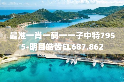 最准一肖一码一一子中特7955-明目皓齿EL687.862