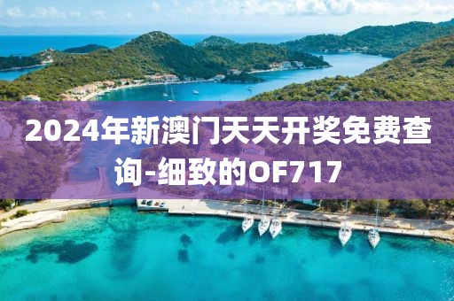 2024年新澳门天天开奖免费查询-细致的OF717