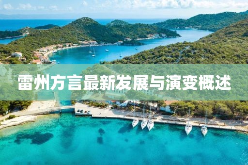 雷州方言最新发展与演变概述