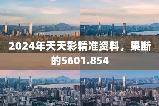 2024年天天彩精准资料，果断的5601.854