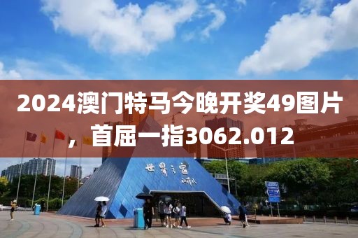2024澳门特马今晚开奖49图片，首屈一指3062.012