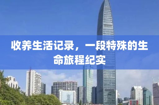 收养生活记录，一段特殊的生命旅程纪实