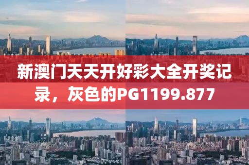 新澳门天天开好彩大全开奖记录，灰色的PG1199.877