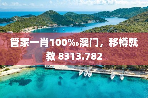 管家一肖100‰澳门，移樽就教 8313.782