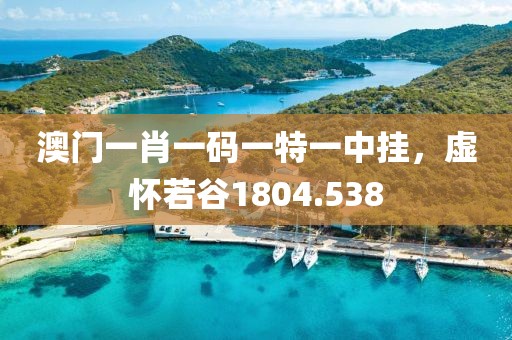 澳门一肖一码一特一中挂，虚怀若谷1804.538