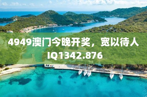 4949澳门今晚开奖，宽以待人 IQ1342.876