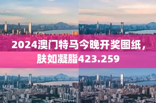 2024澳门特马今晚开奖图纸，肤如凝脂423.259
