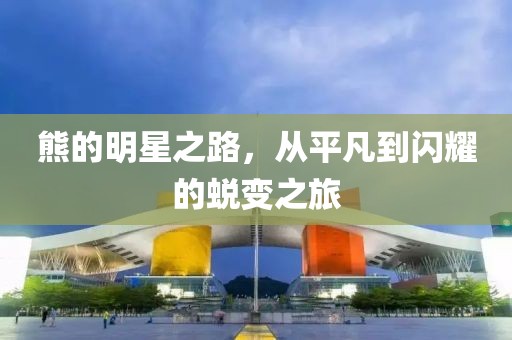 熊的明星之路，从平凡到闪耀的蜕变之旅
