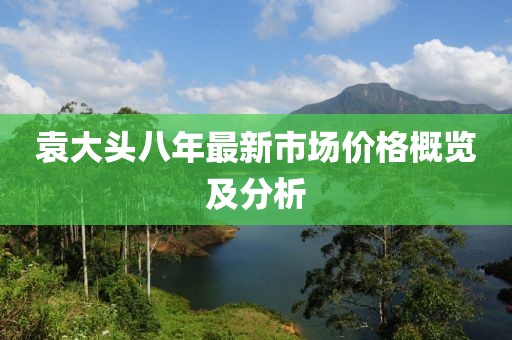 袁大头八年最新市场价格概览及分析