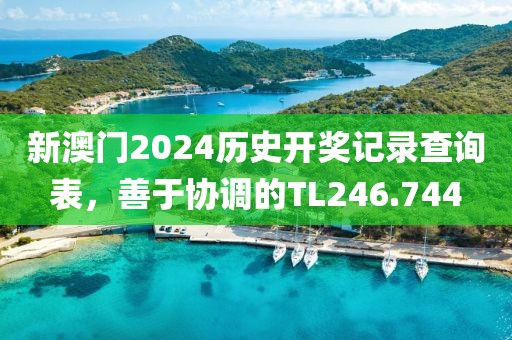 新澳门2024历史开奖记录查询表，善于协调的TL246.744