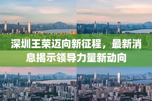 深圳王荣迈向新征程，最新消息揭示领导力量新动向