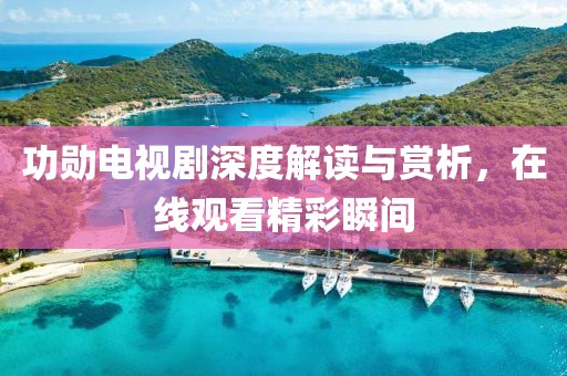 功勋电视剧深度解读与赏析，在线观看精彩瞬间