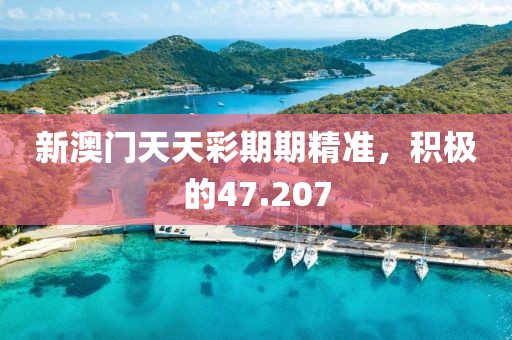 新澳门天天彩期期精准，积极的47.207