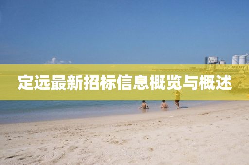 定远最新招标信息概览与概述