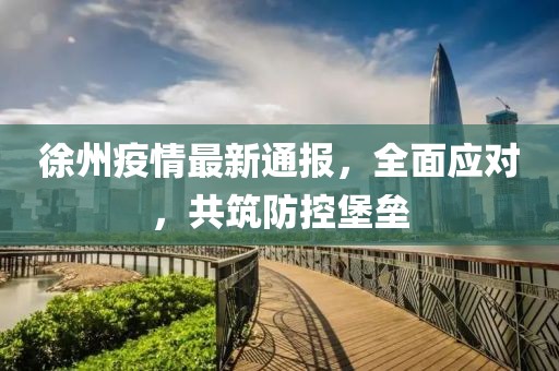 徐州疫情最新通报，全面应对，共筑防控堡垒